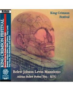 BELEW JOBSON LEVIN MASTELOTTO - King Crimson Festival: Live in Kazan / Moscow, RU 2008 (mini LP / CD)