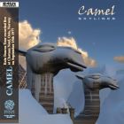 CAMEL - Skylines: Live in Oslo, NO 1977 (mini LP / CD) 